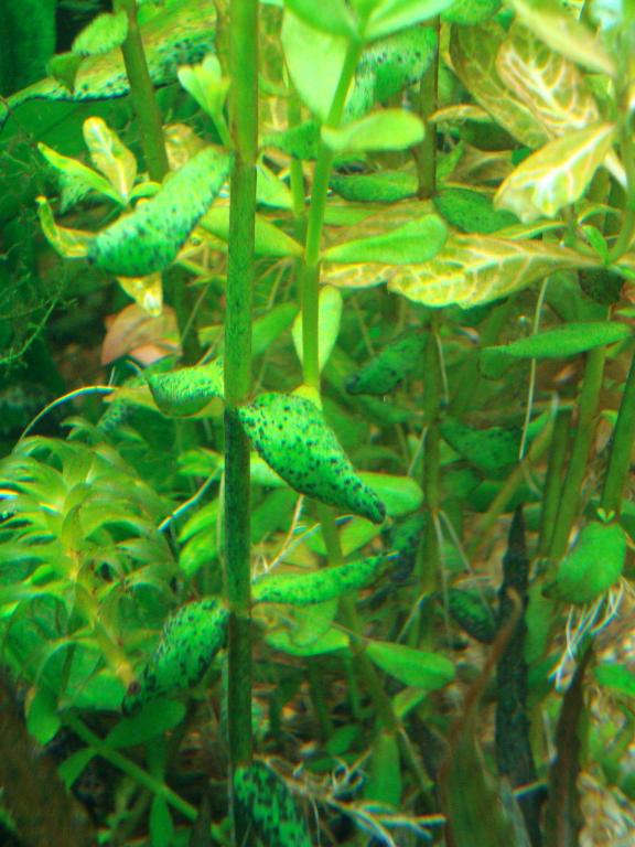 dsc02104.jpg