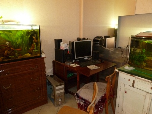 p1000661.jpg