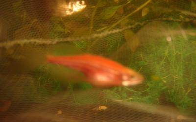 dsc03557_0.jpg