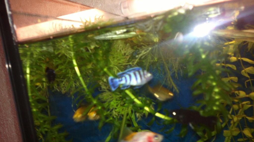 15092012374.jpg