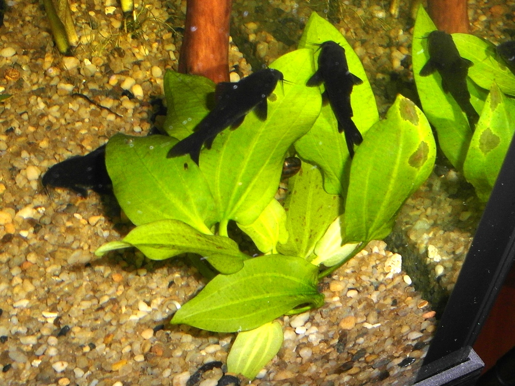 2013-01-15_nochnye_posidelki.jpg