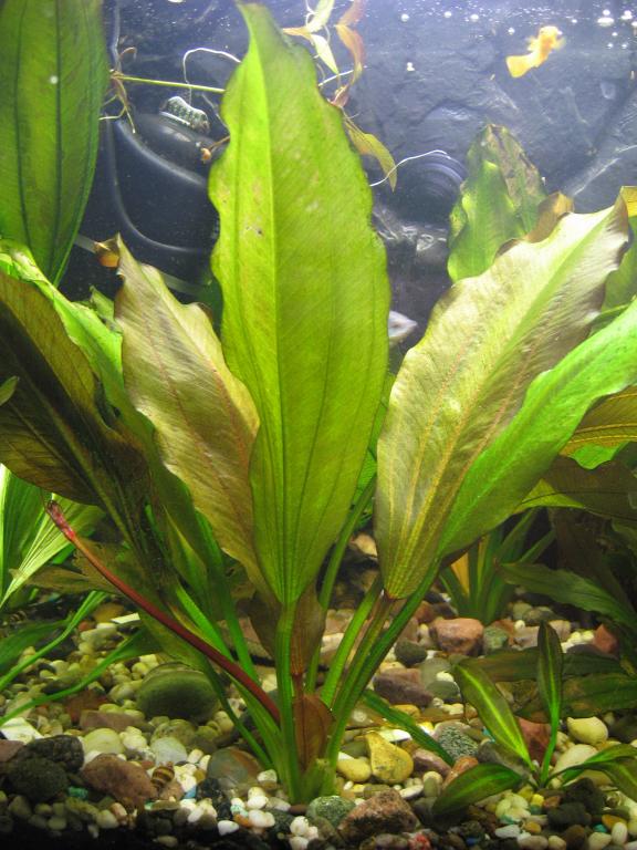 bembi_img_1294.jpg