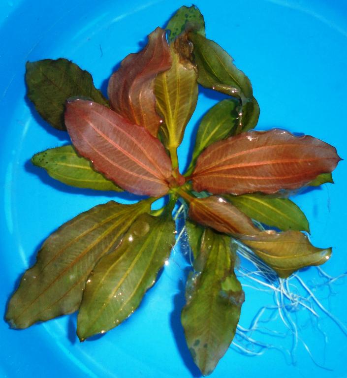 dsc01275_0.jpg