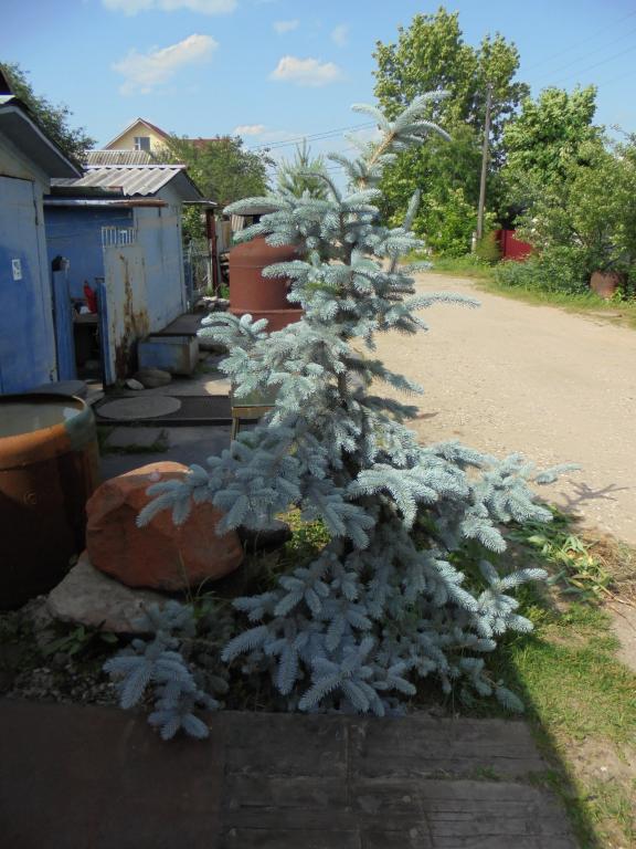 dsc02128.jpg