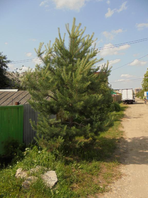 dsc02131.jpg