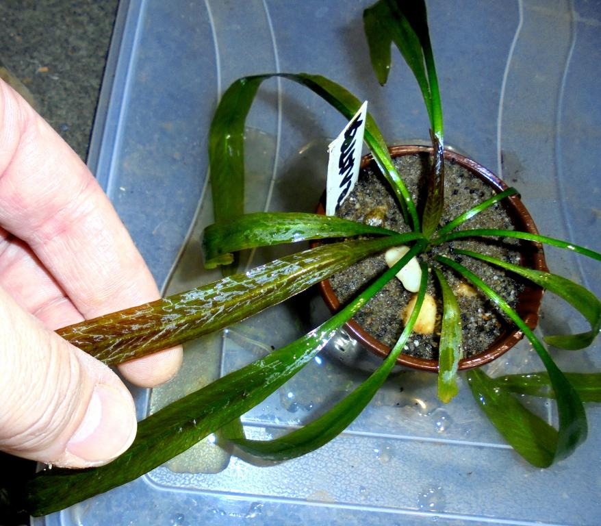 dsc02936_0.jpg