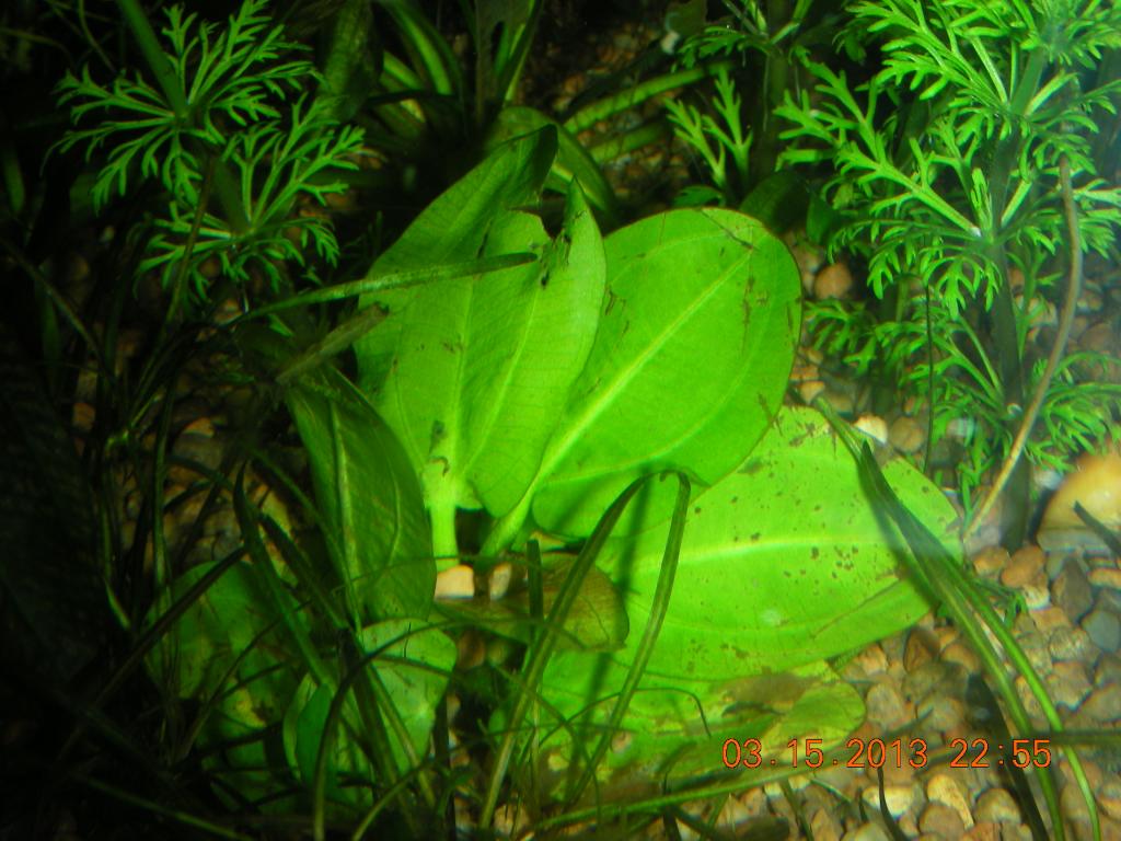 dscn3680.jpg