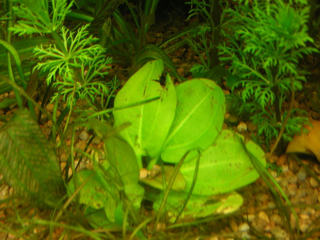dscn3682.jpg