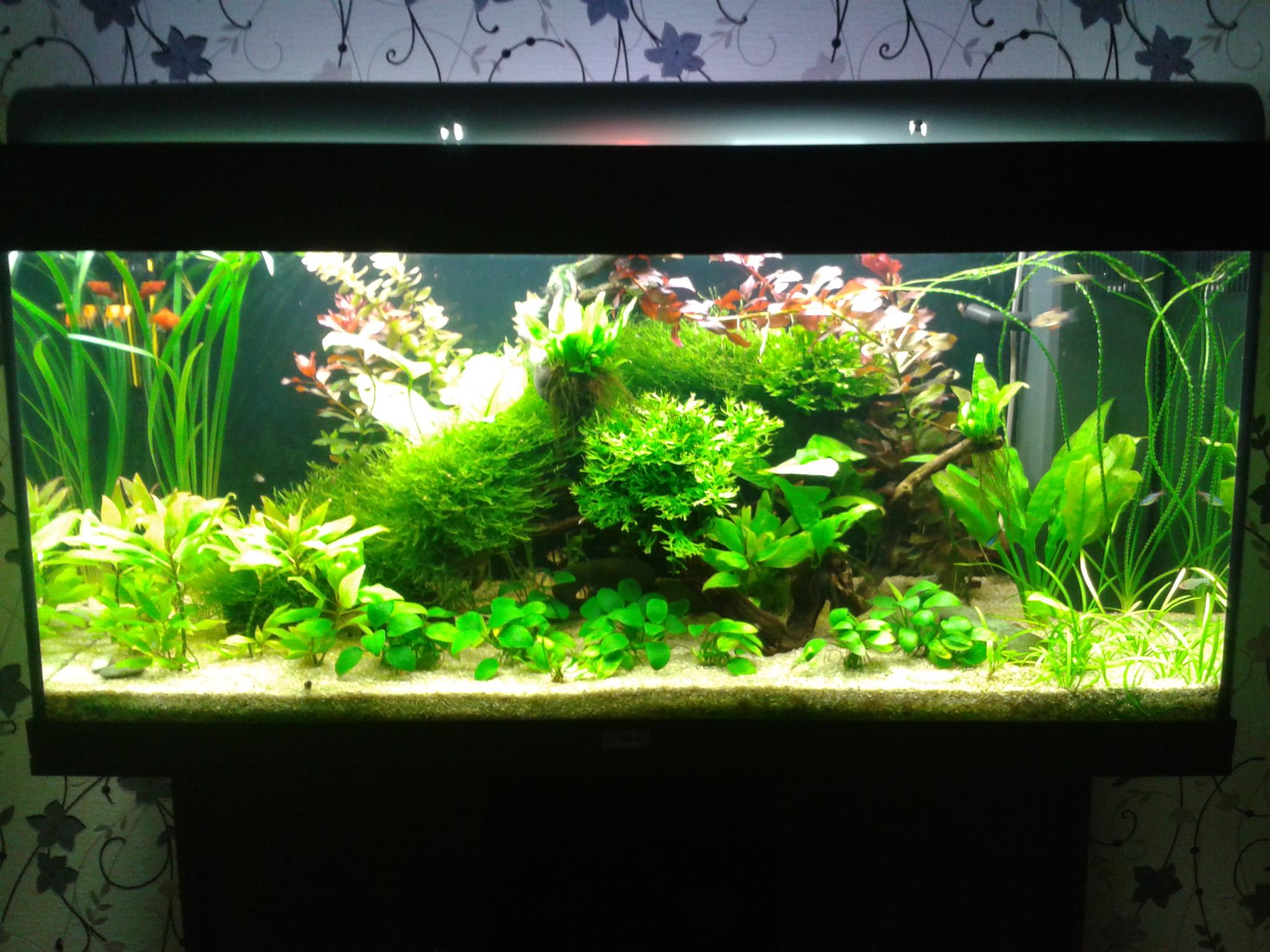 2013-02-14 0.12.52.jpg