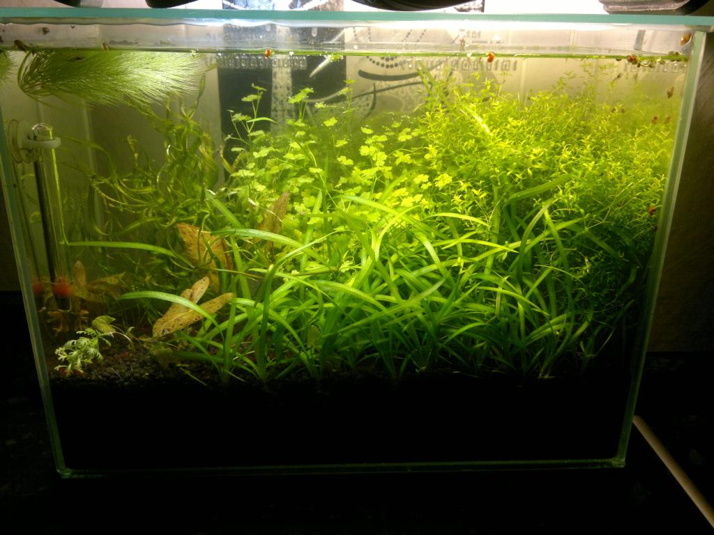 050720154621.jpg