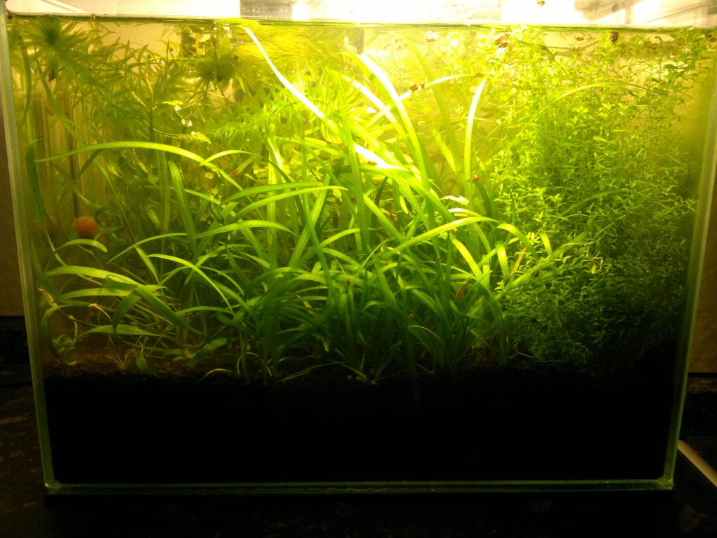130920154774.jpg