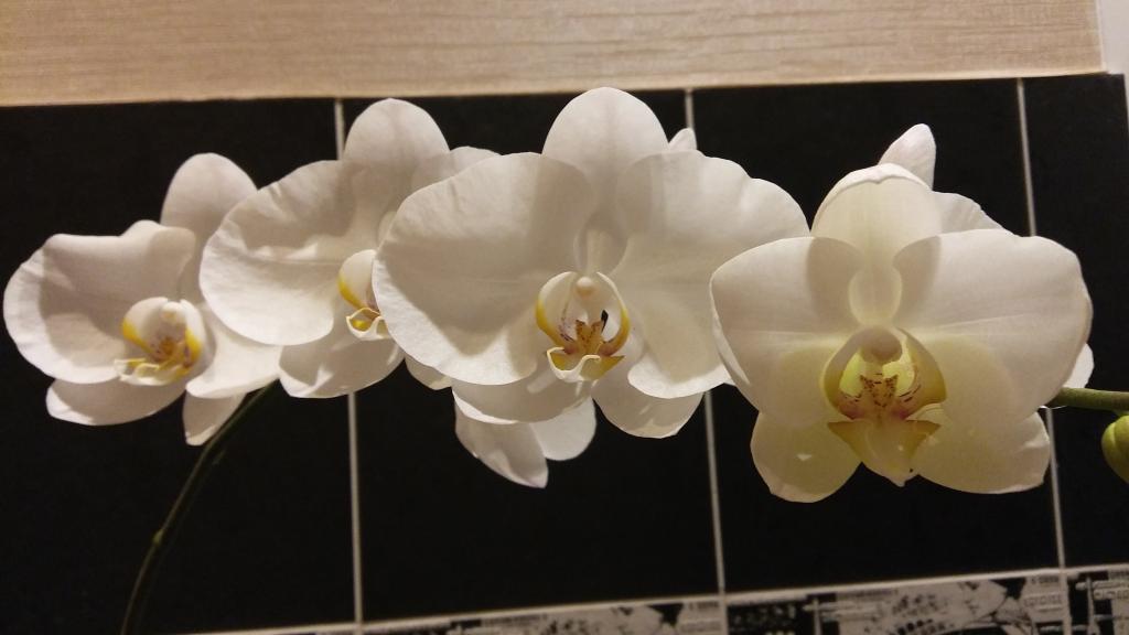 20160807_214249.jpg