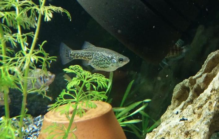 20170326_110023.jpg