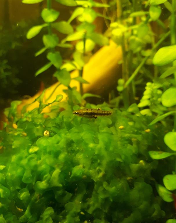20180602_223550.jpg
