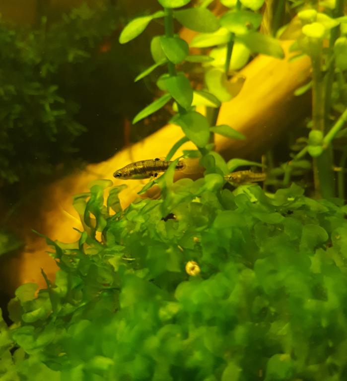 20180602_223605.jpg