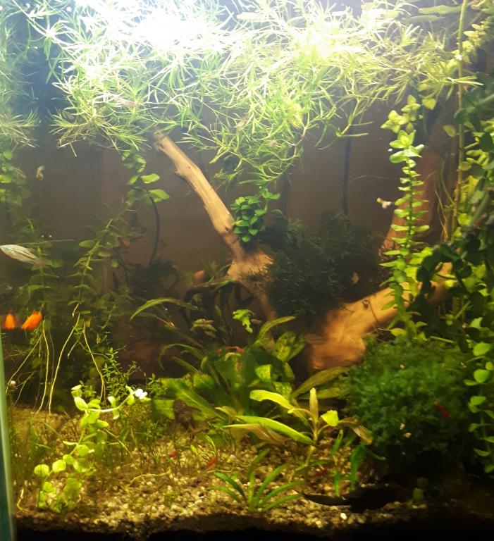 20180604_145812.jpg