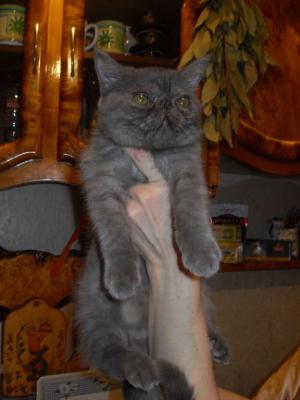 sdc10071_thumb_0.jpg