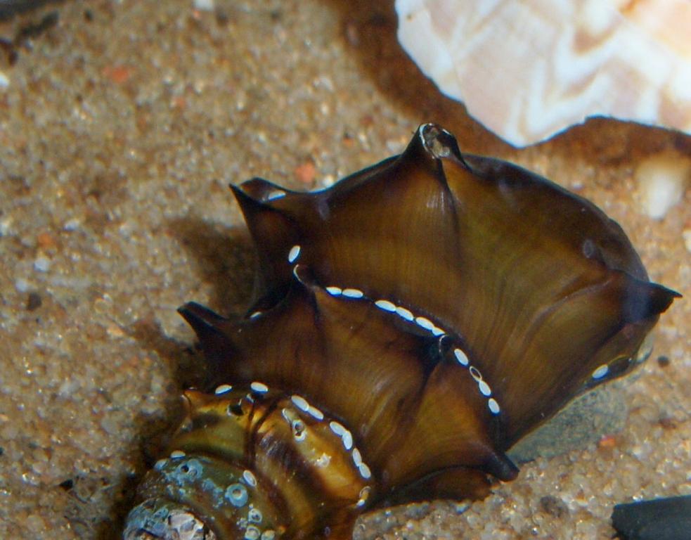 100_8745.jpg