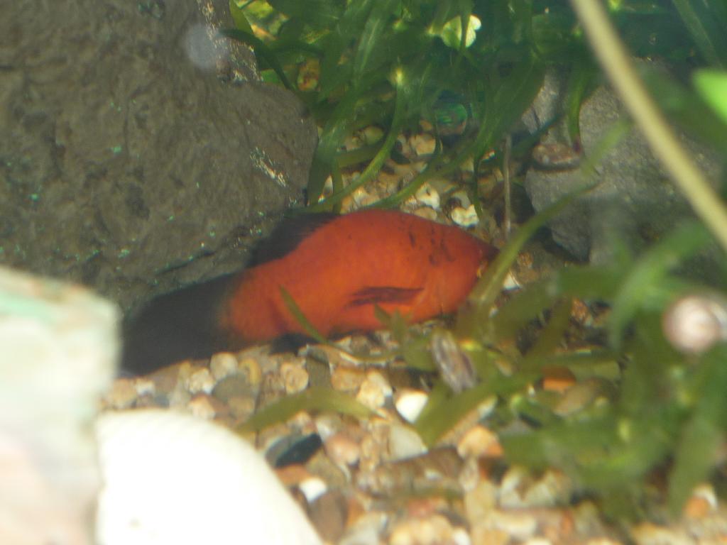 p1050846.jpg