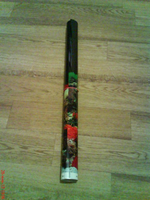 dsc01354.jpg