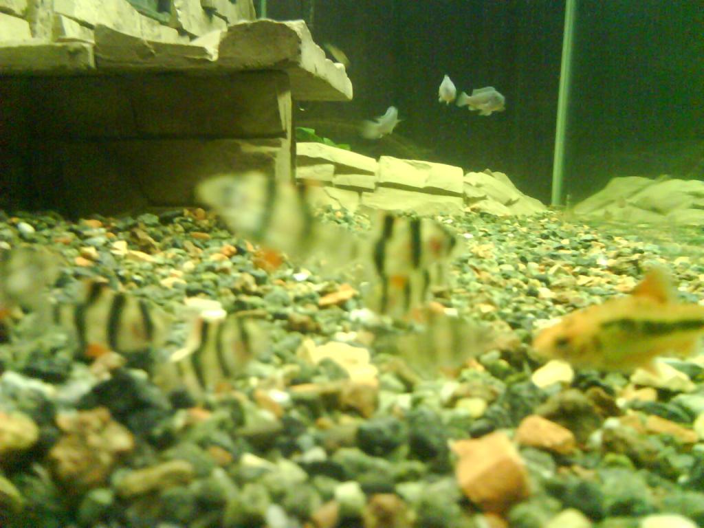 dsc01414.jpg