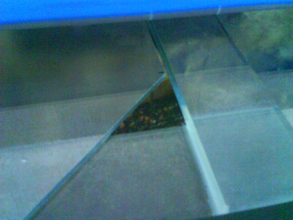 dsc01420.jpg