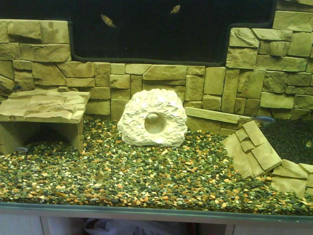 dsc01427.jpg