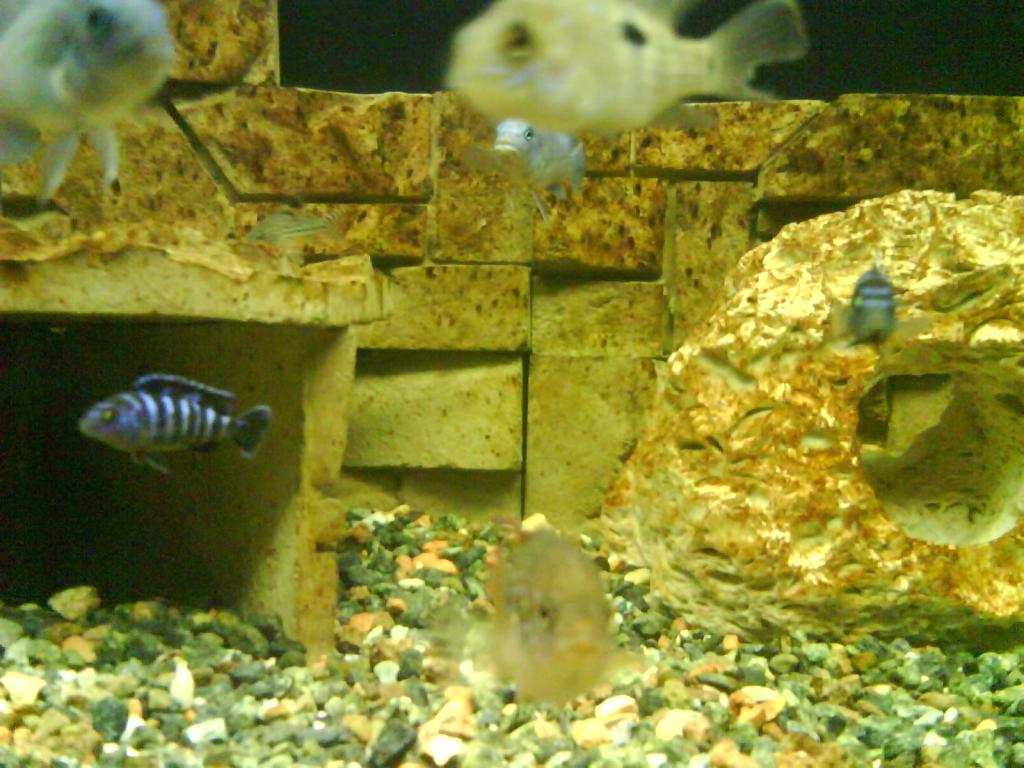 dsc01438.jpg