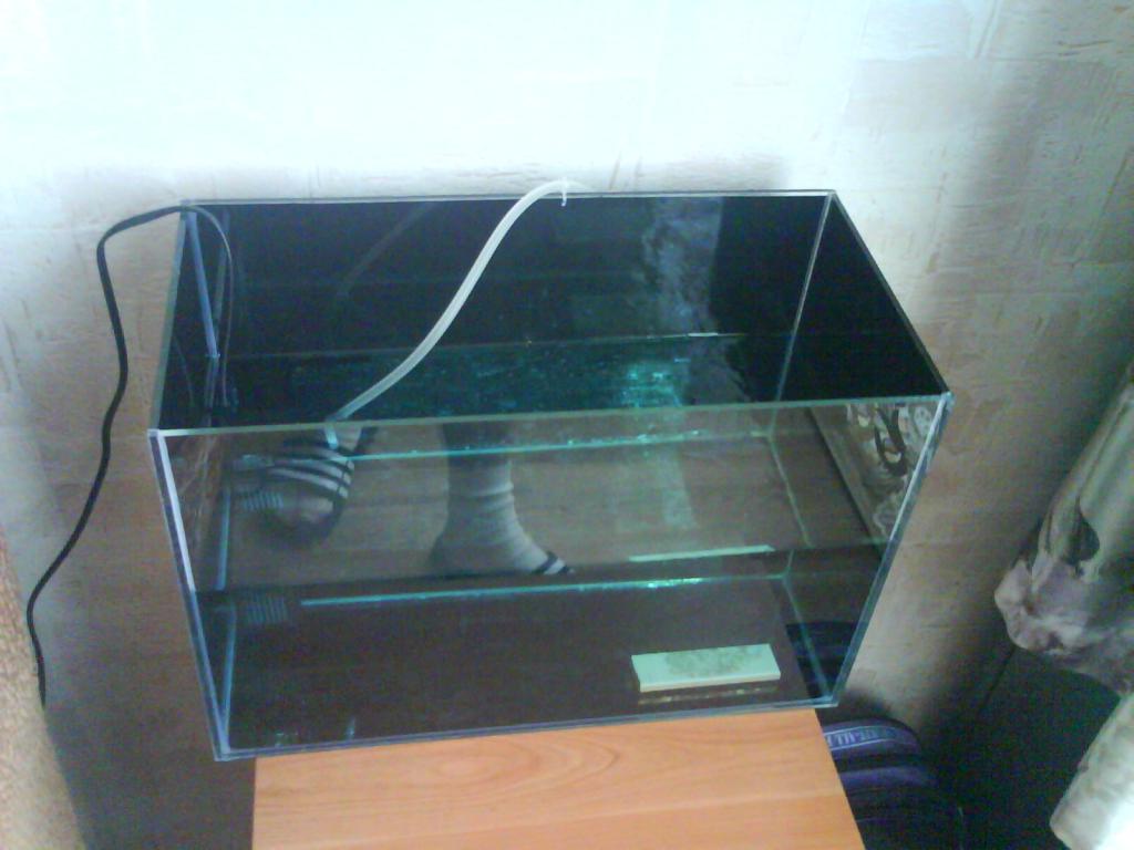 dsc01443.jpg
