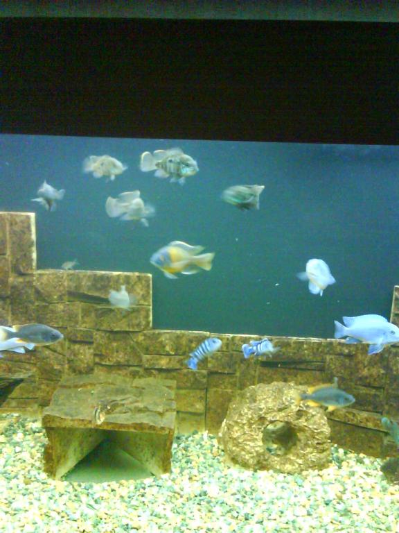 dsc01454.jpg
