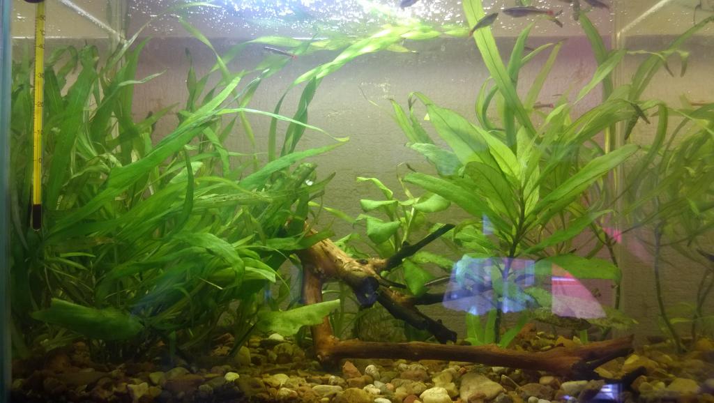 wp_20150601_0011.jpg