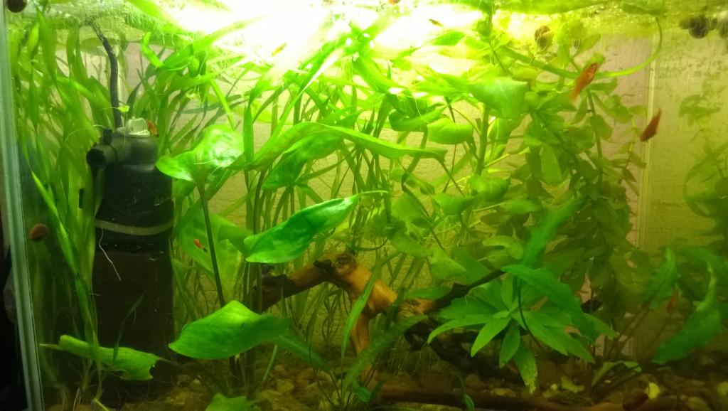 wp_20150921_002.jpg