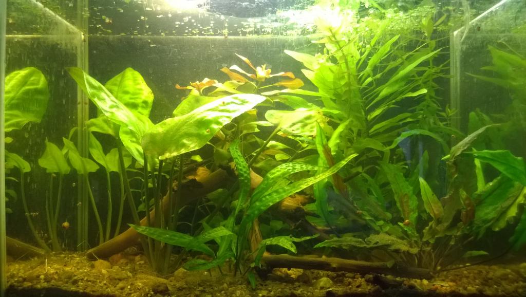 wp_20151222_003.jpg