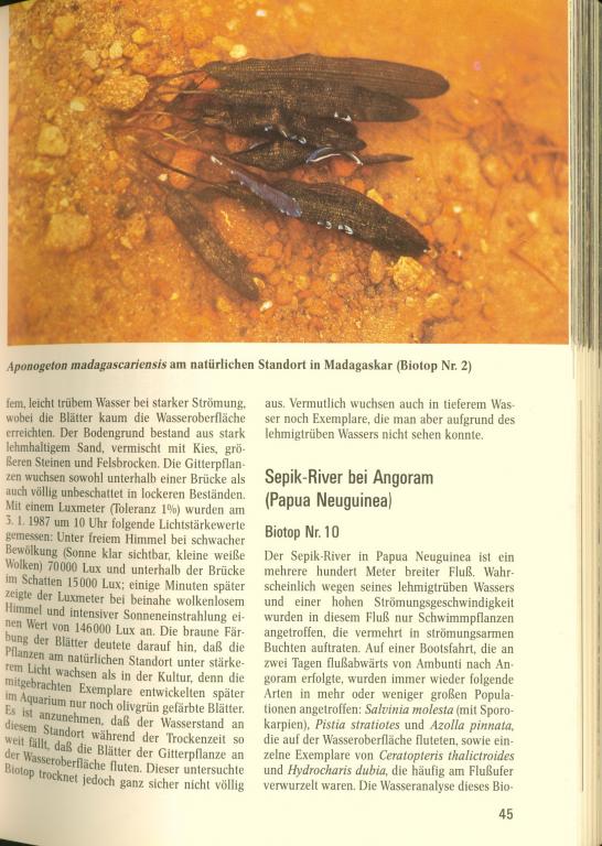 akas002111.jpg