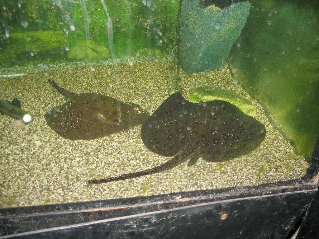 img_0206.jpg