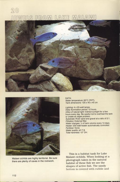 pl112.jpg