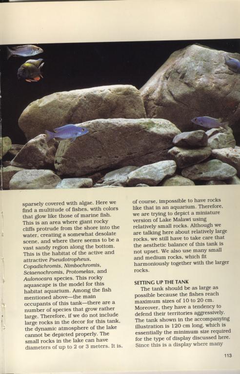 pl113.jpg