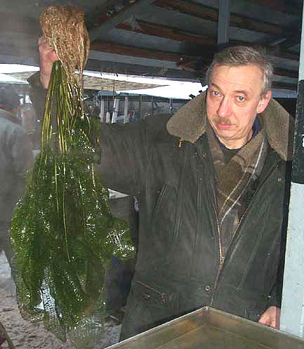 star_ptichka_0.jpg