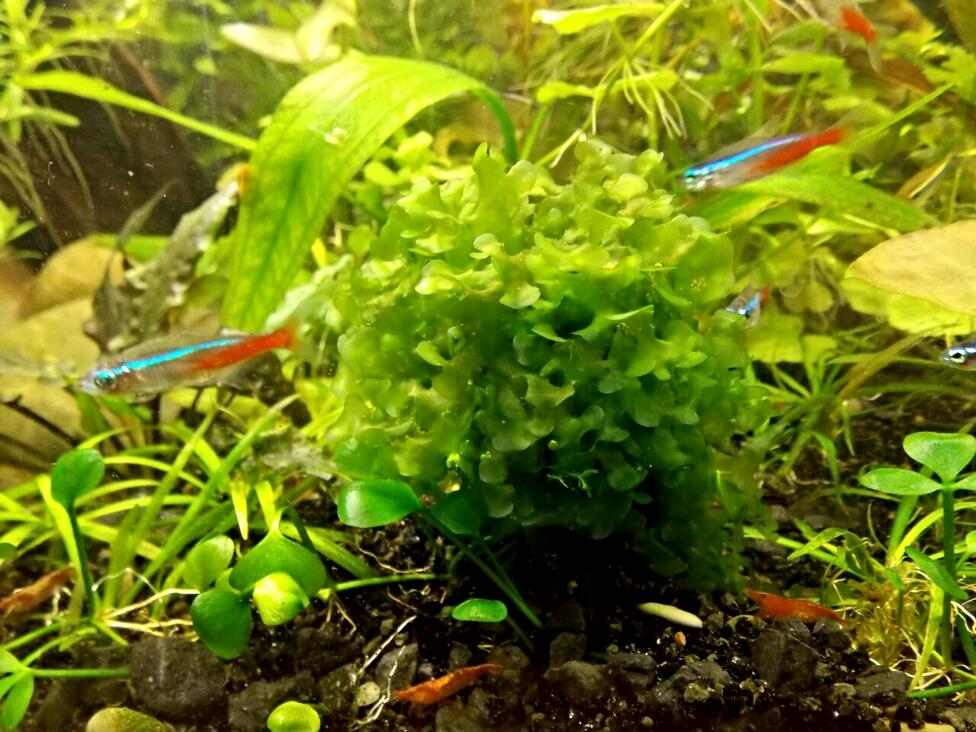 2014-10-26_21.29.43.jpg