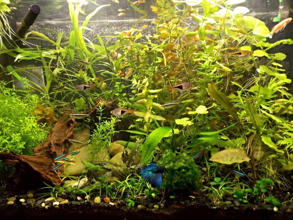 2014-10-26_21.31.09.jpg