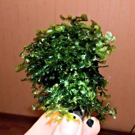 2014-12-11_21.39.39.jpg