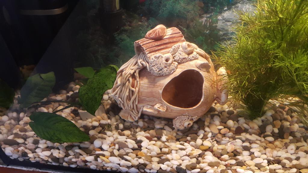 20161112_132728.jpg