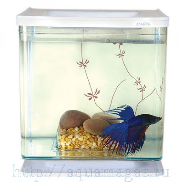 44386.jpg