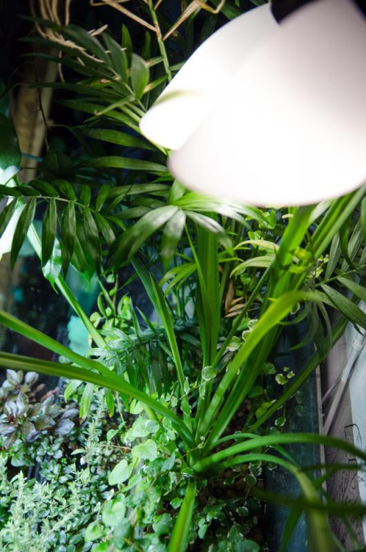 akvarium6.jpg