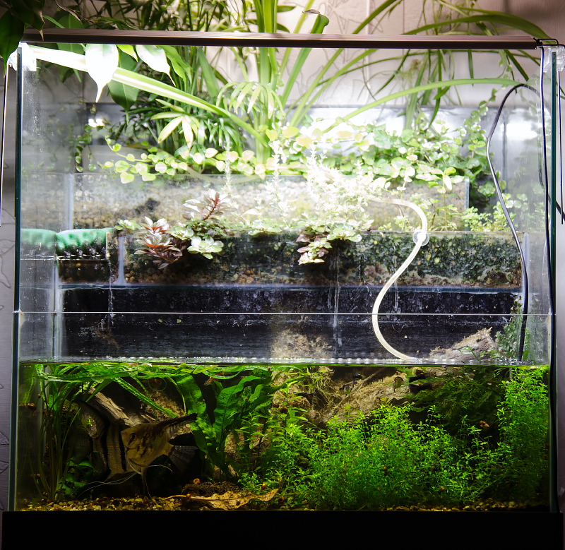 akvarium_1.jpg