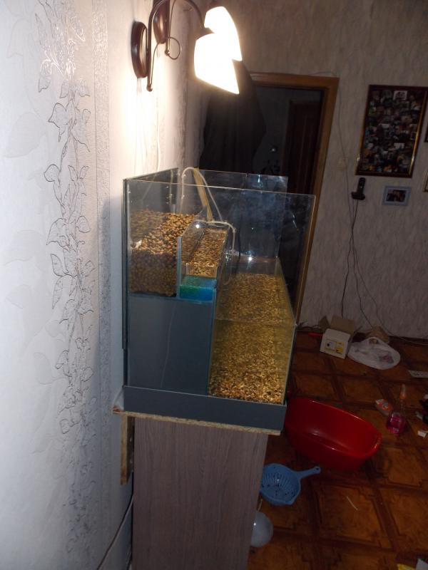 dscn0014.jpg