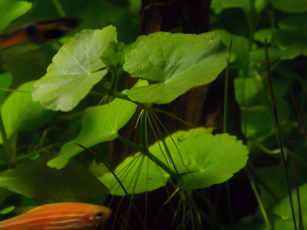 dscn3386.jpg