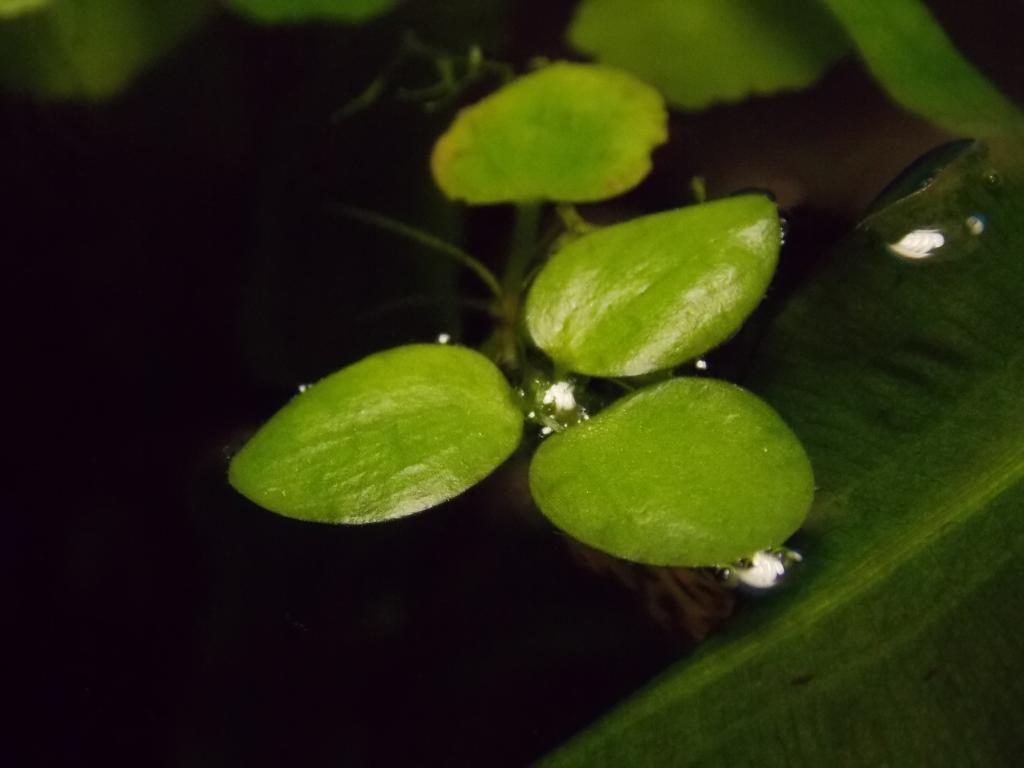 dscn3392.jpg