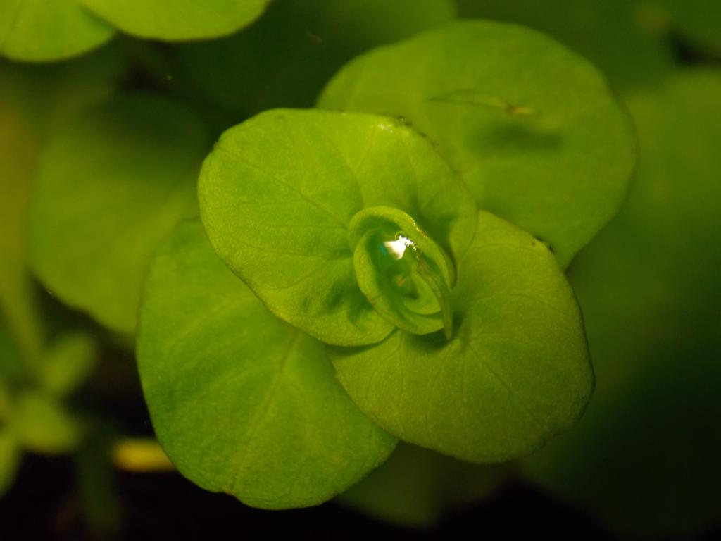 dscn3395.jpg