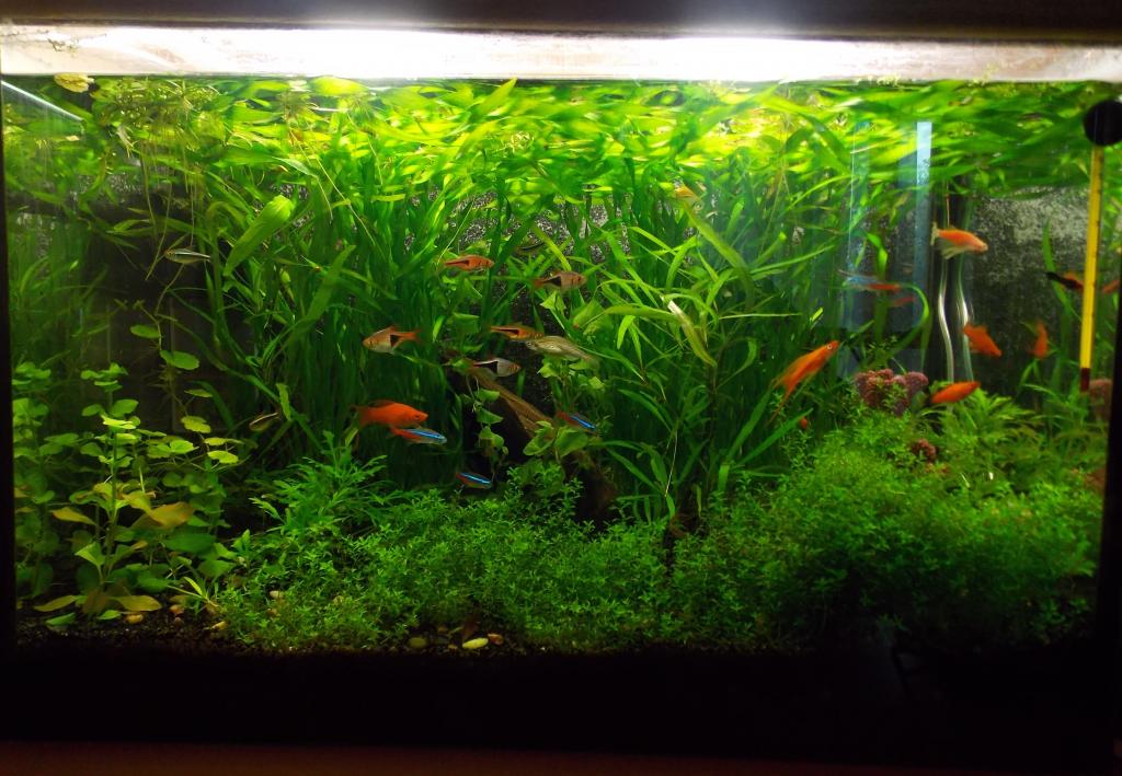 dscn3398.jpg